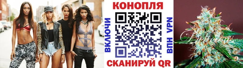 Купить где  Баксан  Канабис VHQ 